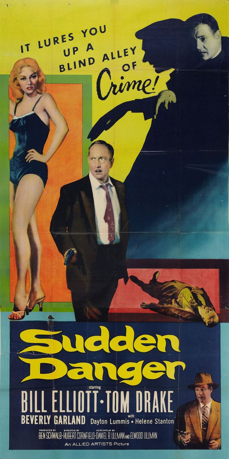 Sudden Danger movie poster