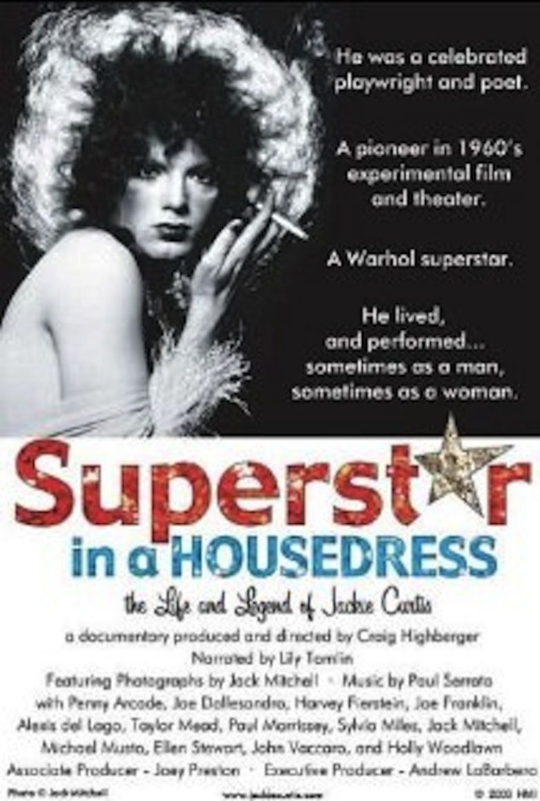Superstar in a Housedress movie poster