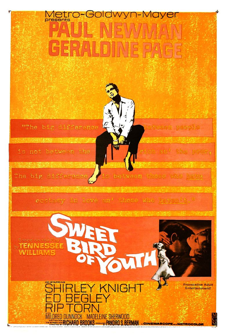 Sweet Bird of Youth (film) movie poster