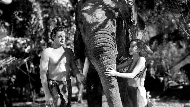 Tarzan and His Mate movie scenes