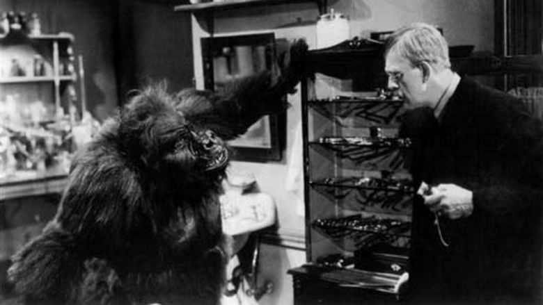 The Ape (1940 film) movie scenes