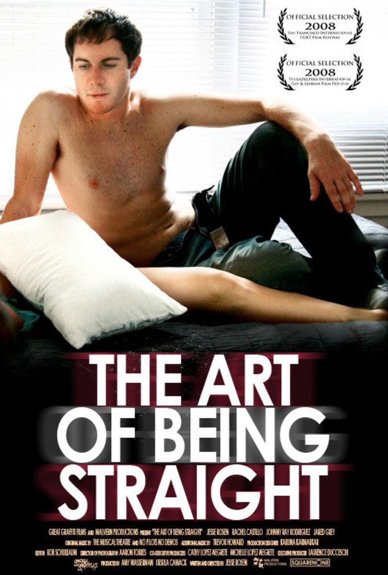 The Art of Being Straight movie poster