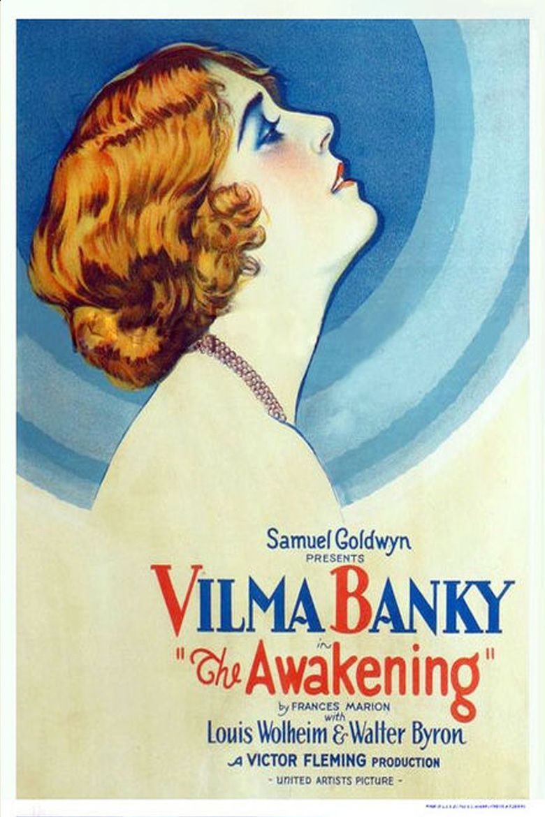 The Awakening (1928 film) movie poster