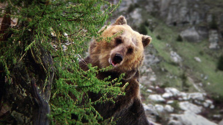 The Bear (1988 film) movie scenes