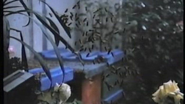 The Bees (film) movie scenes