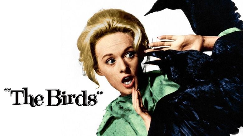 The Birds (film) movie scenes