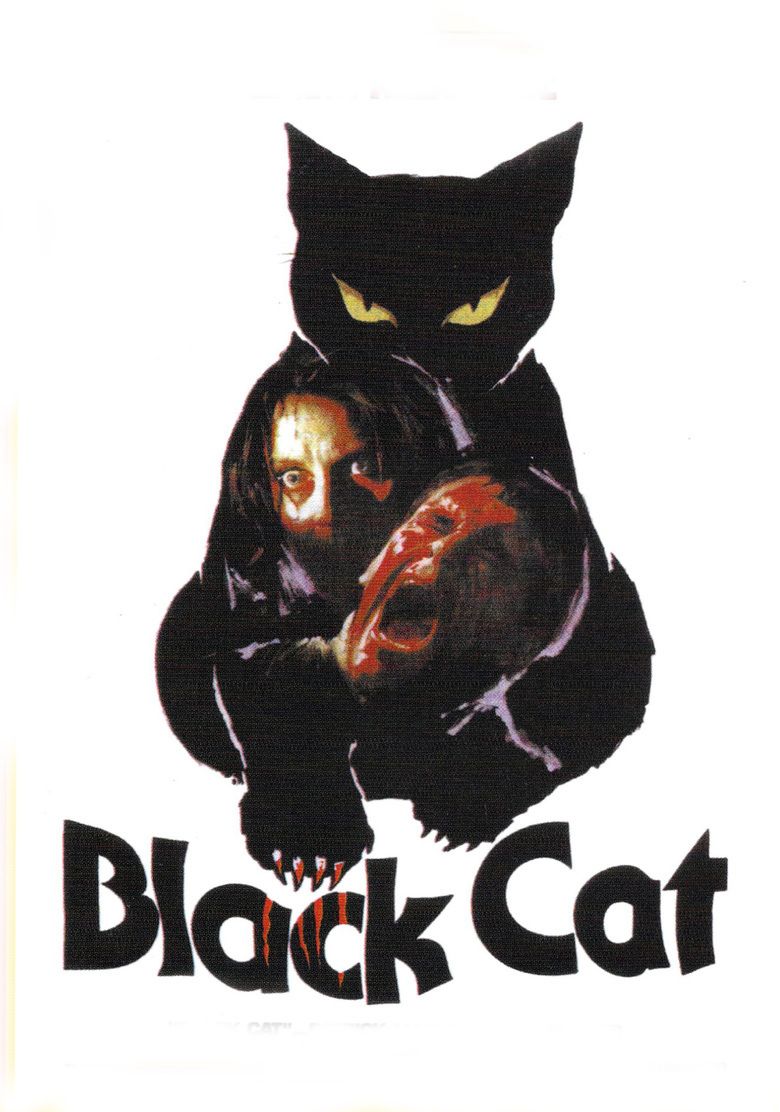 The Black Cat (1981 film) movie poster