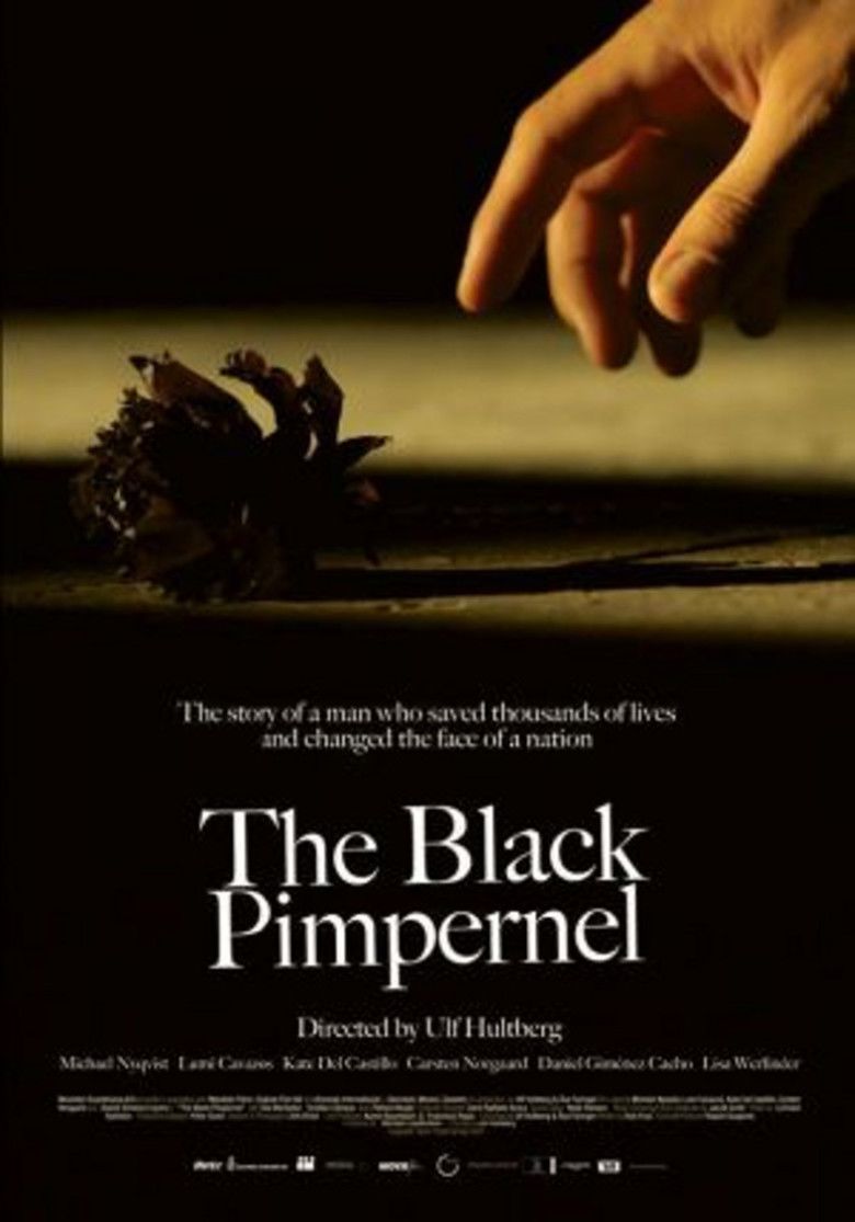 The Black Pimpernel movie poster
