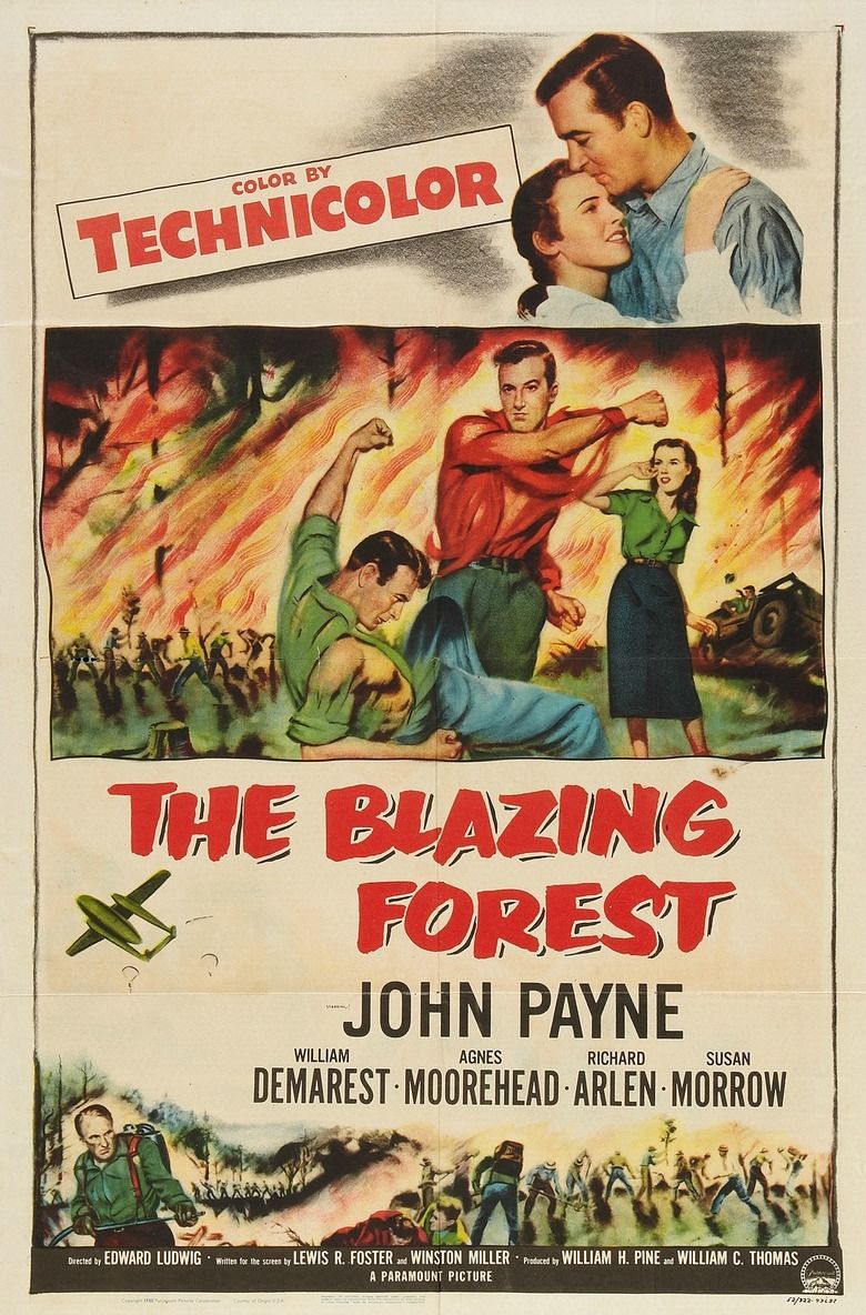 The Blazing Forest movie poster