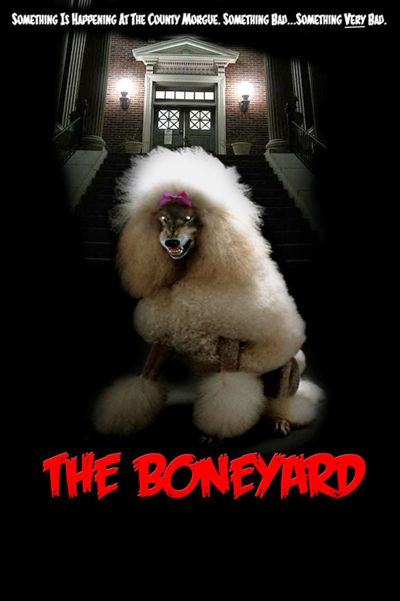 The Boneyard movie poster