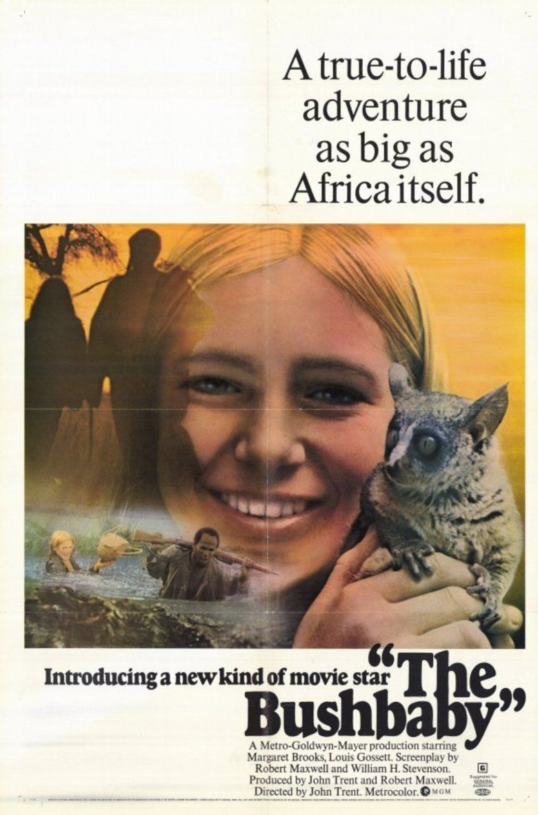 The Bushbaby movie poster