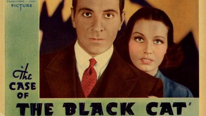 The Case of the Black Cat movie scenes