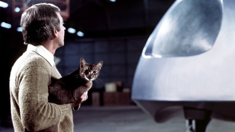 The Cat from Outer Space movie scenes