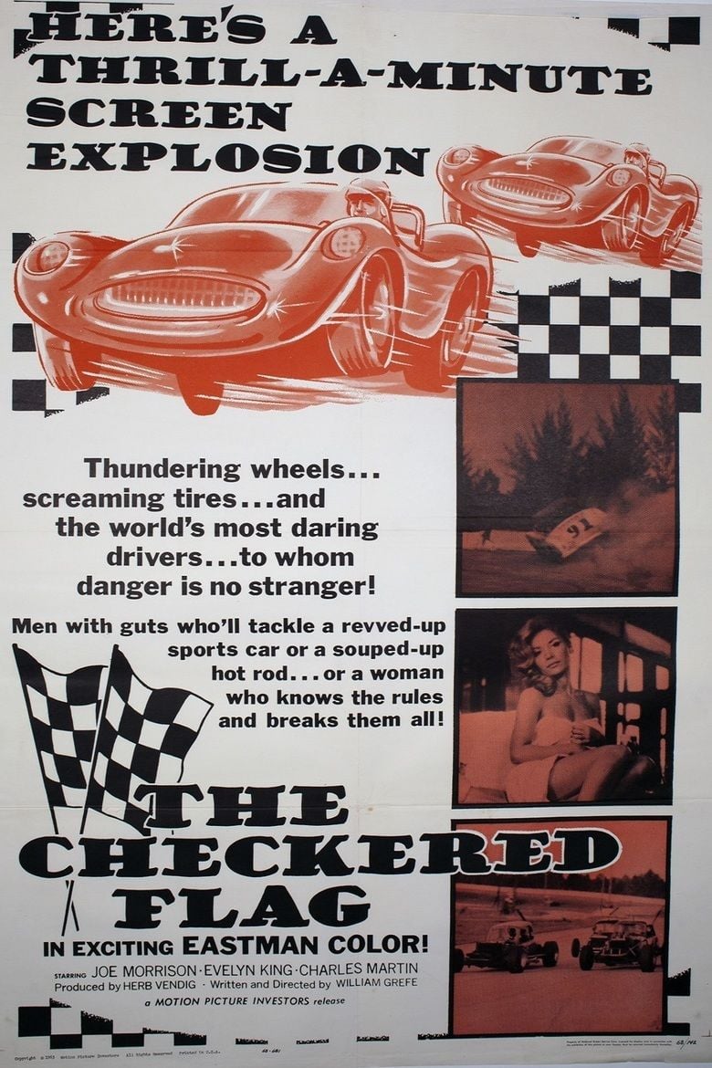 The Checkered Flag (film) movie poster