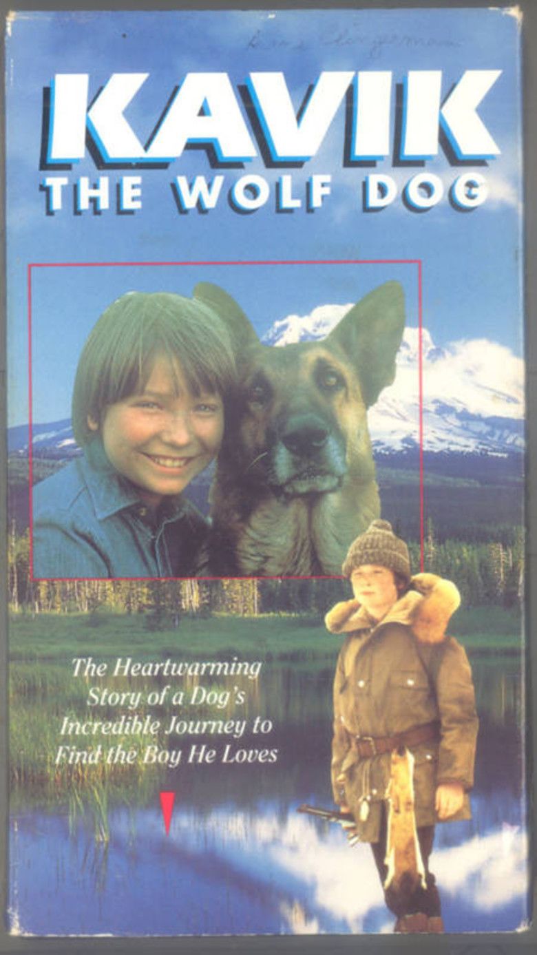The Courage of Kavik the Wolf Dog movie poster