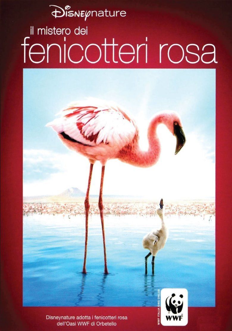 The Crimson Wing: Mystery of the Flamingos movie poster