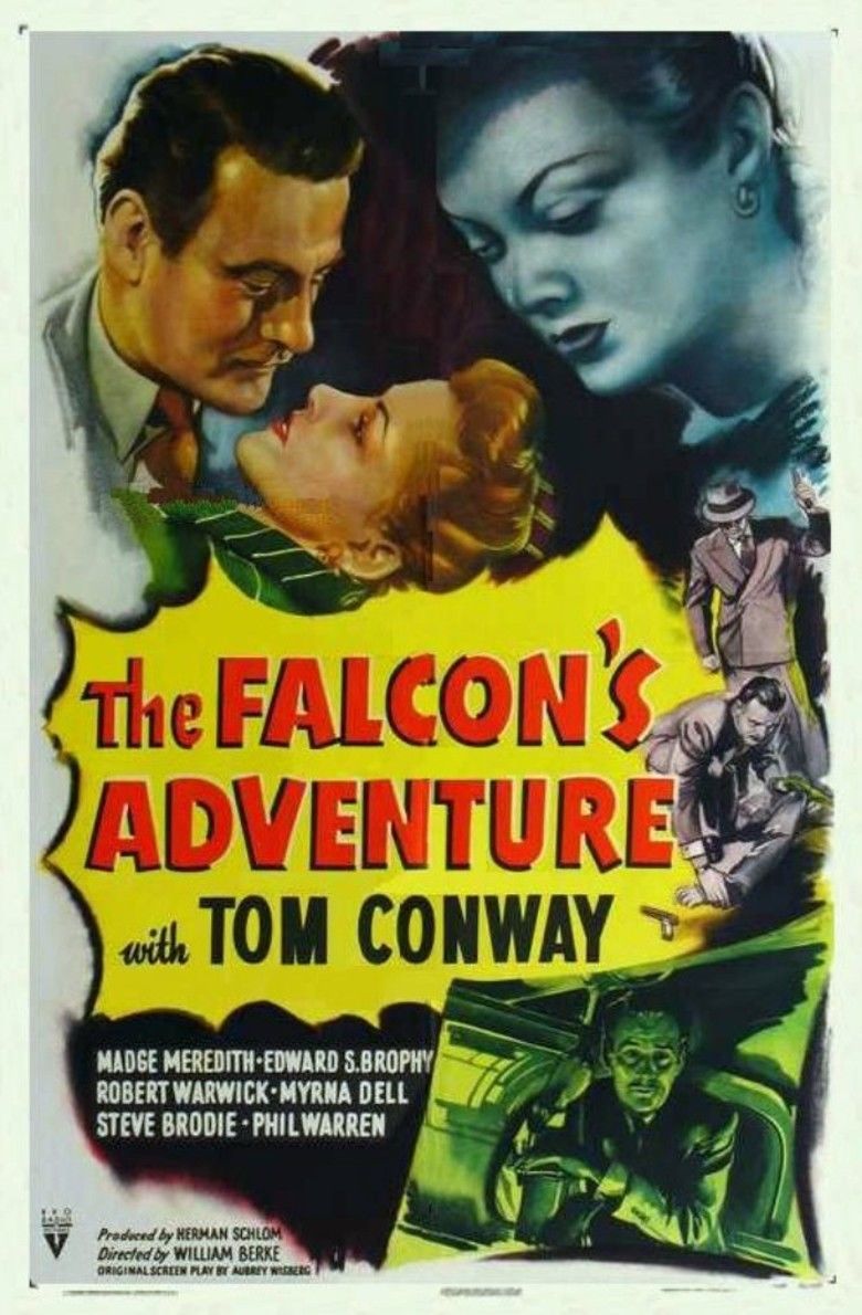 The Falcons Adventure movie poster