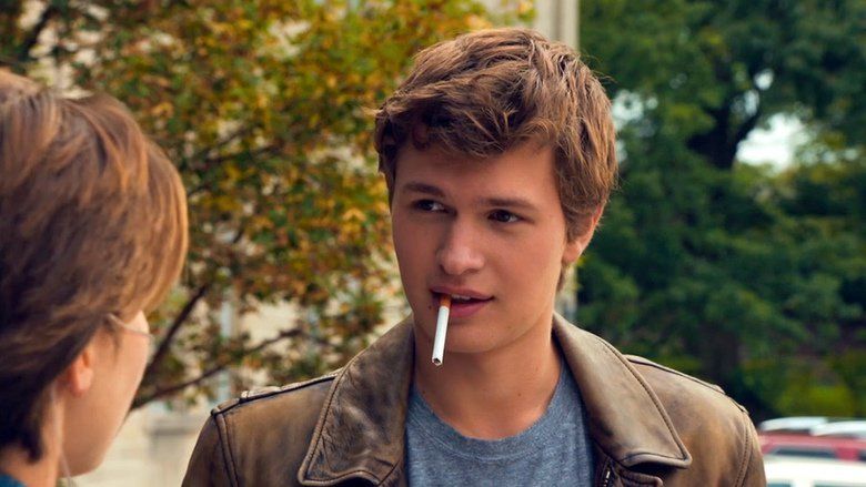 The Fault in Our Stars (film) movie scenes