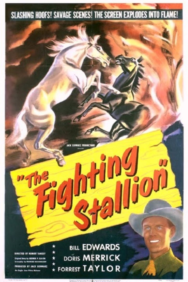 The Fighting Stallion movie poster