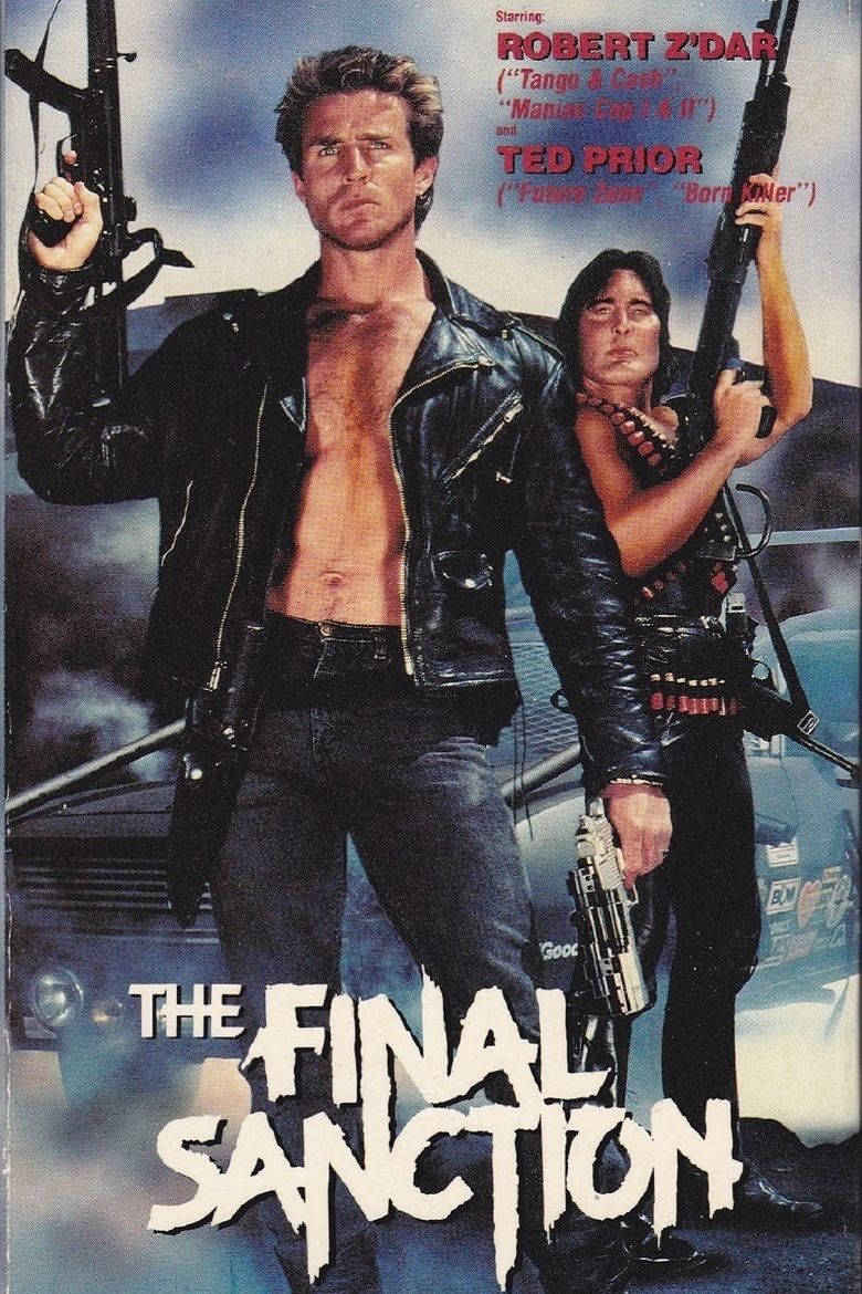 The Final Sanction (film) movie poster