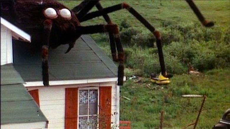 The Giant Spider Invasion movie scenes
