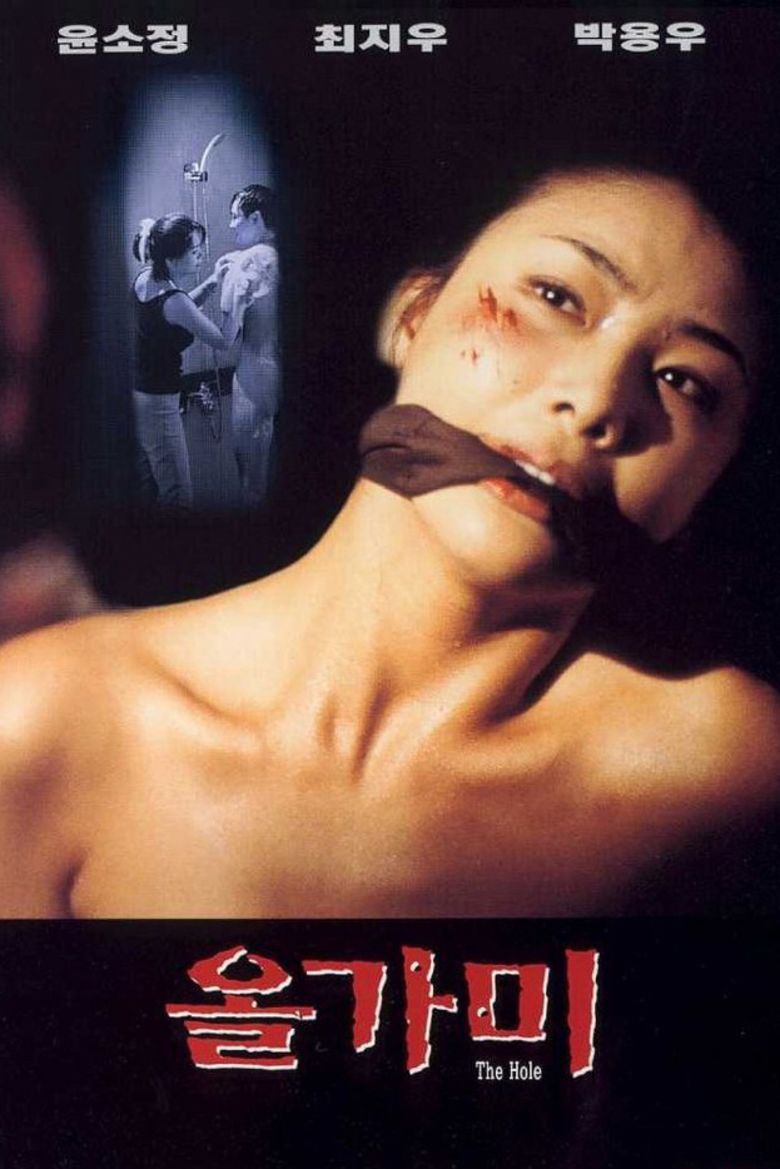 The Hole (1997 film) movie poster