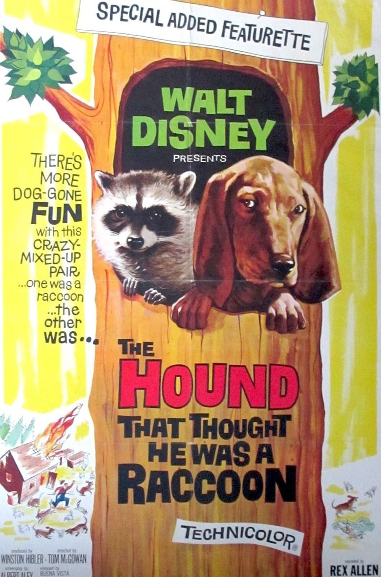 The Hound That Thought He Was a Raccoon movie poster