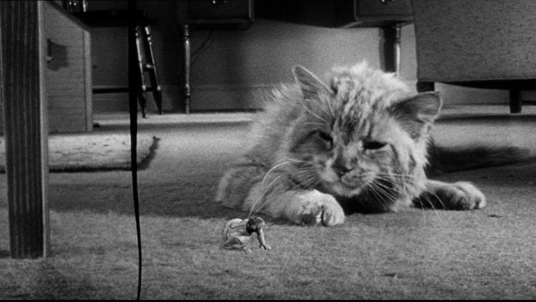The Incredible Shrinking Man movie scenes