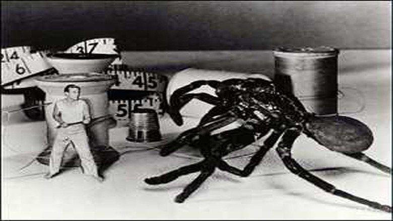The Incredible Shrinking Man movie scenes