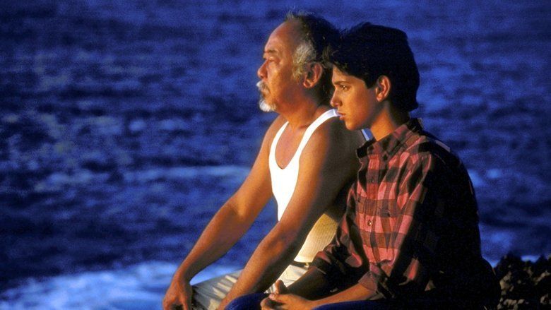 The Karate Kid, Part II movie scenes