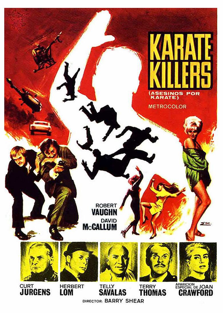 The Karate Killers movie poster