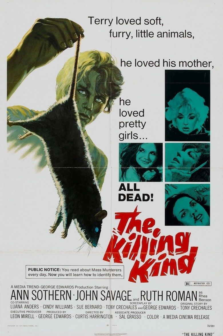 The Killing Kind (1973 film) movie poster