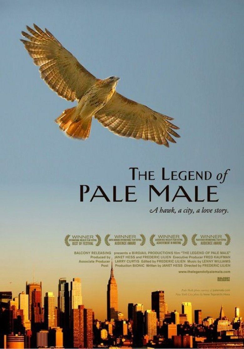 The Legend of Pale Male movie poster