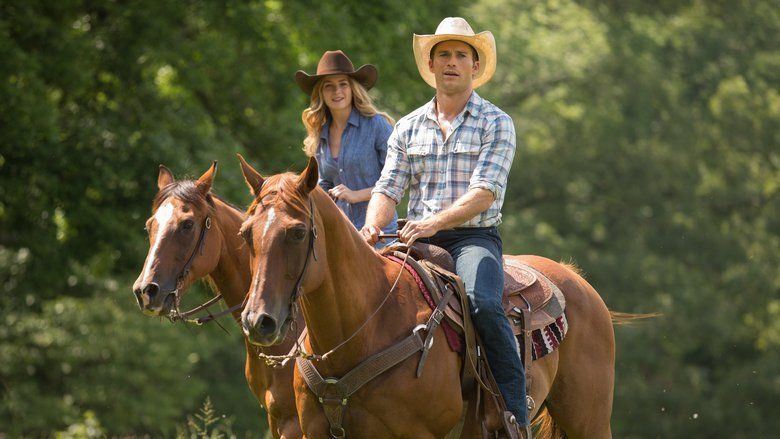 The Longest Ride (film) movie scenes