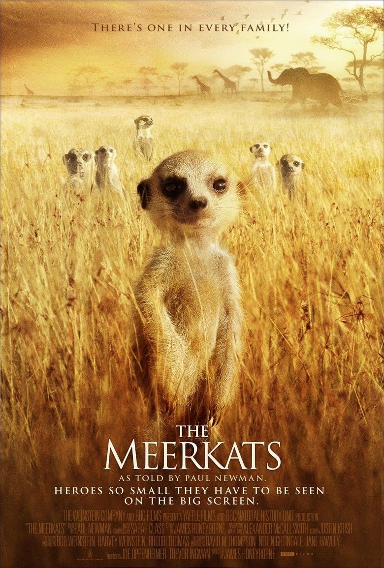 The Meerkats movie poster