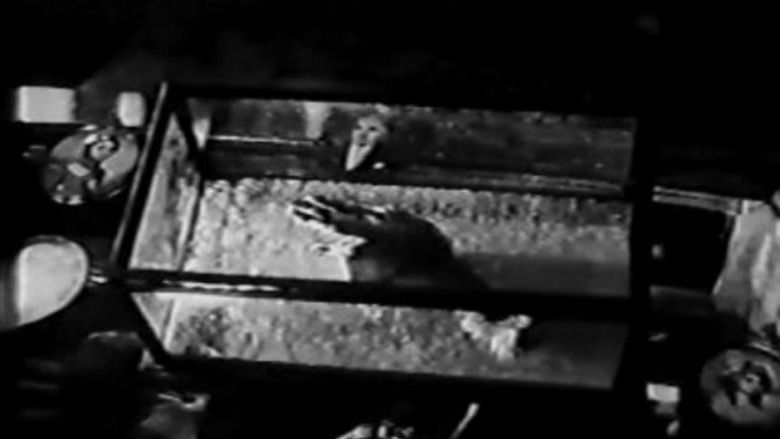 The Monkeys Paw (1948 film) movie scenes