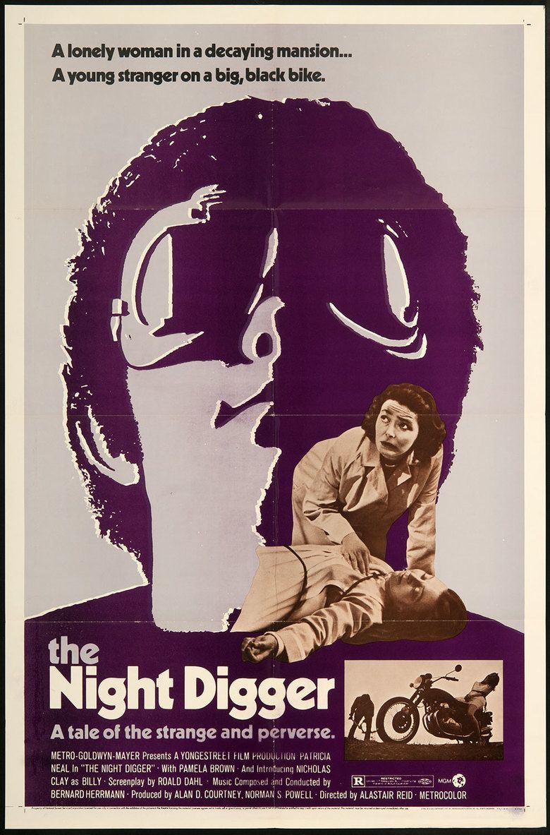 The Night Digger movie poster