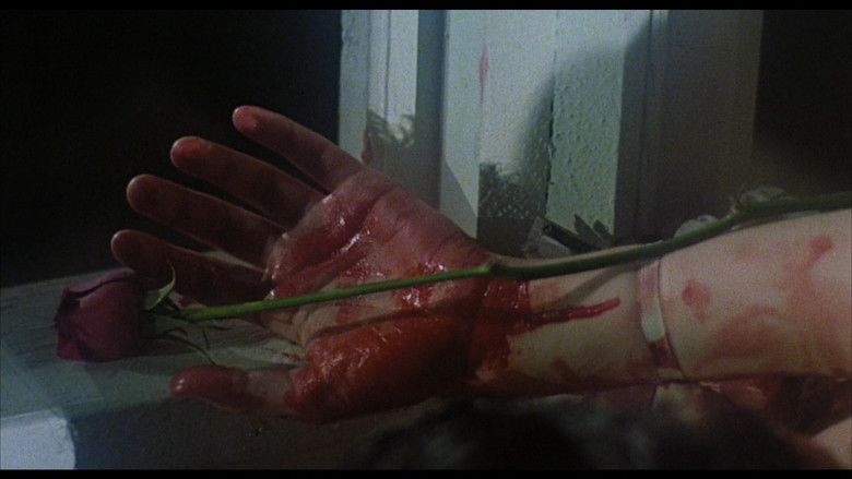 The Prowler (1981 film) movie scenes