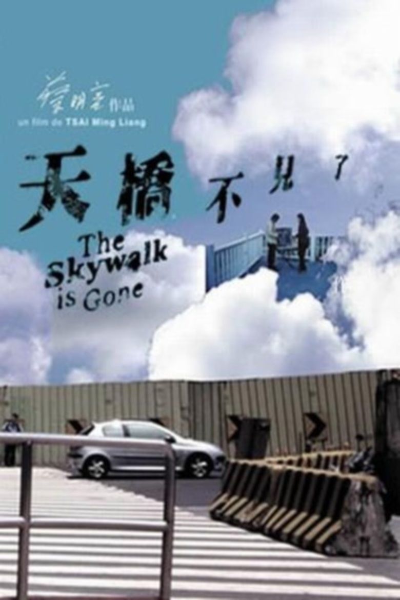 The Skywalk Is Gone movie poster