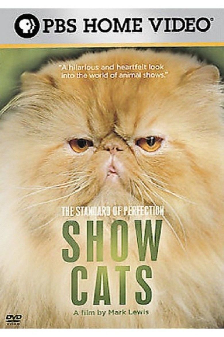 The Standard of Perfection: Show Cats movie poster