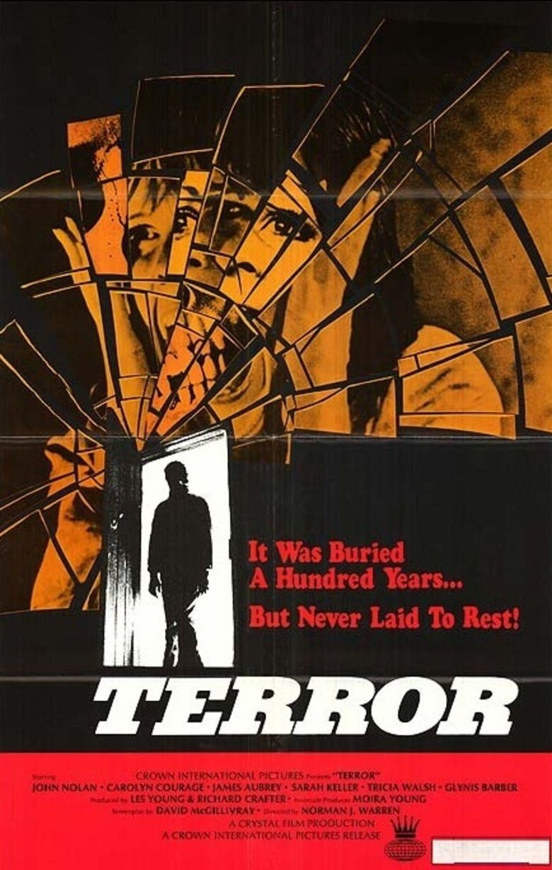 The Terror (1928 film) movie poster