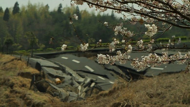 The Tsunami and the Cherry Blossom movie scenes