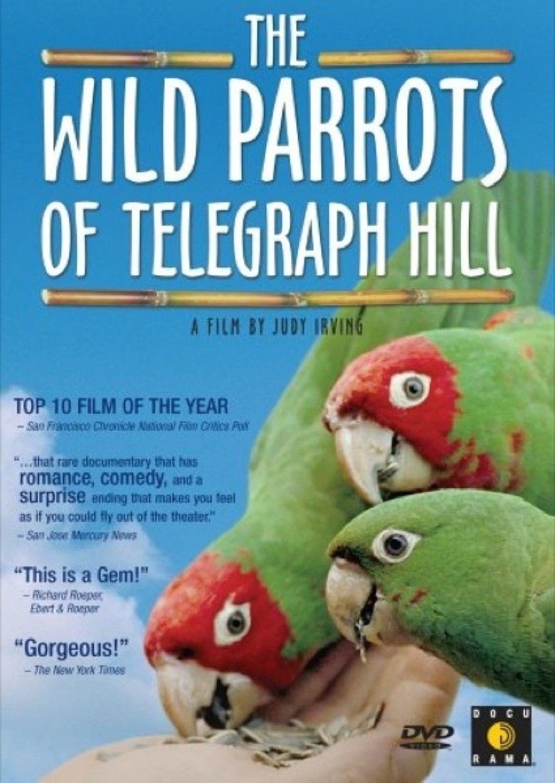 The Wild Parrots of Telegraph Hill movie poster