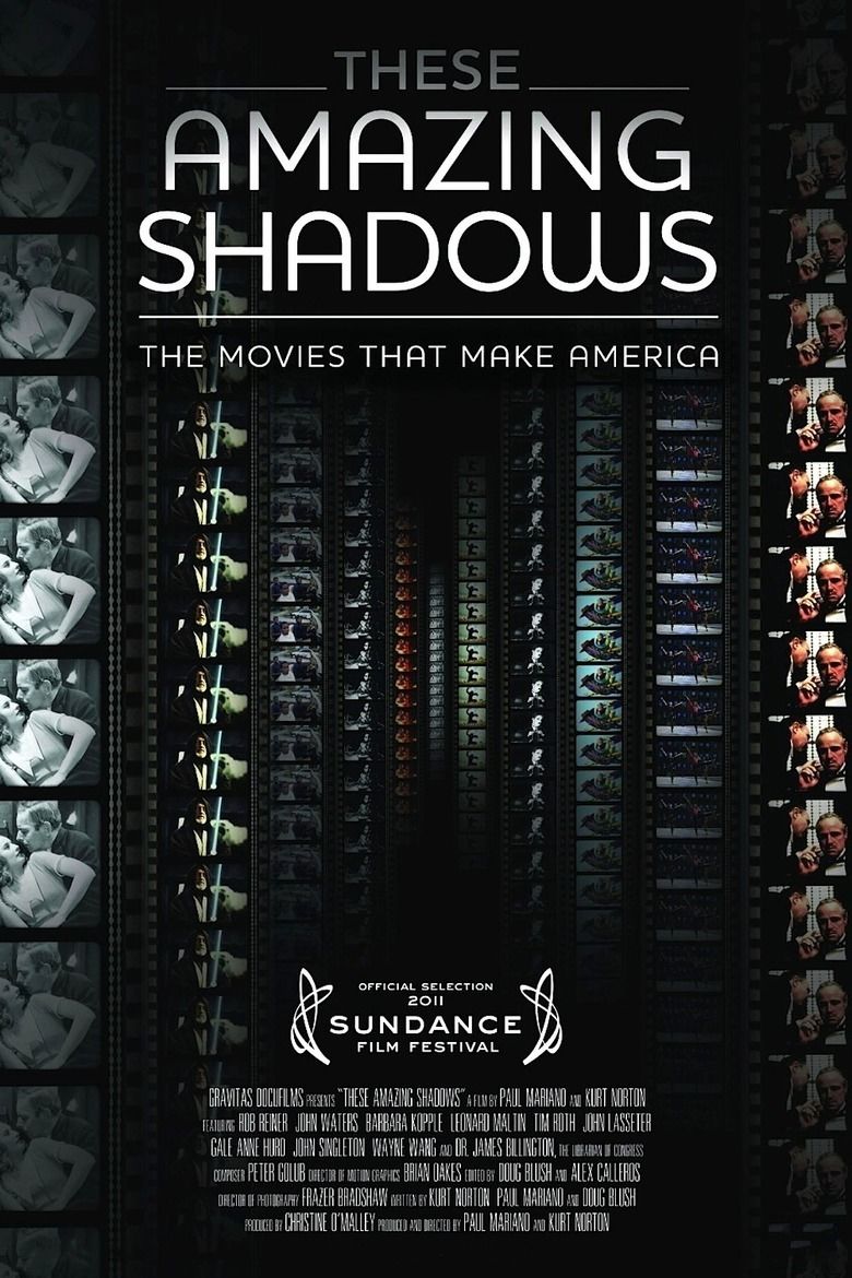 These Amazing Shadows movie poster