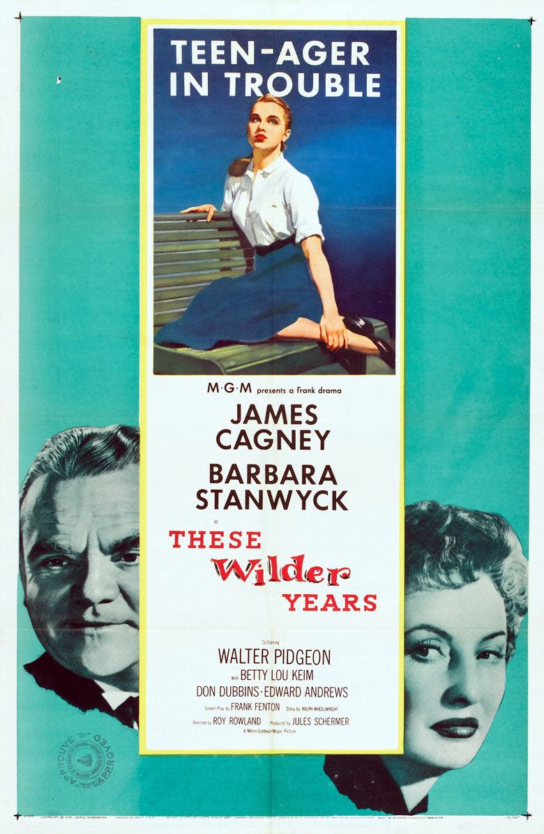 These Wilder Years movie poster