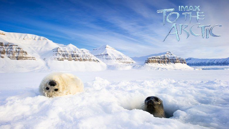 To the Arctic 3D movie scenes
