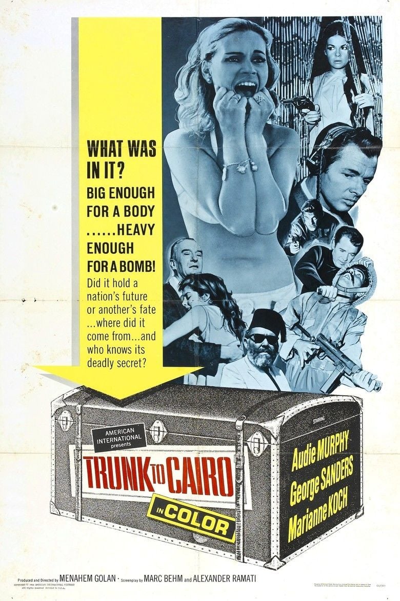 Trunk to Cairo movie poster