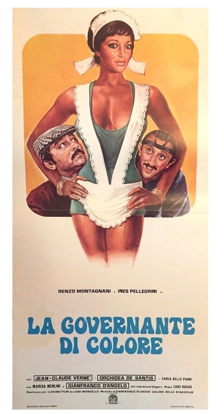 Una bella governante di colore movie poster