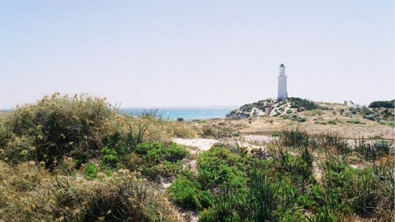 Under the Lighthouse Dancing movie scenes