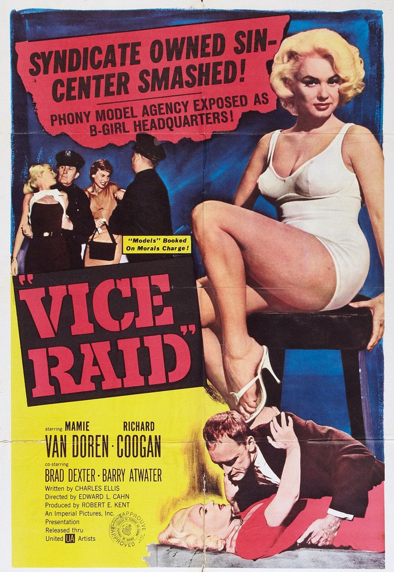 Vice Raid movie poster